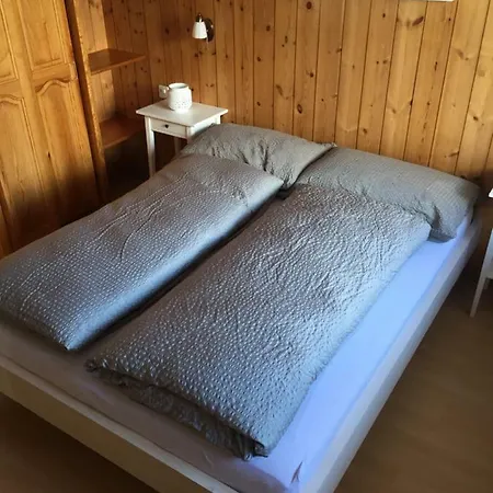 아파트 Chalet Rofel 체르마트